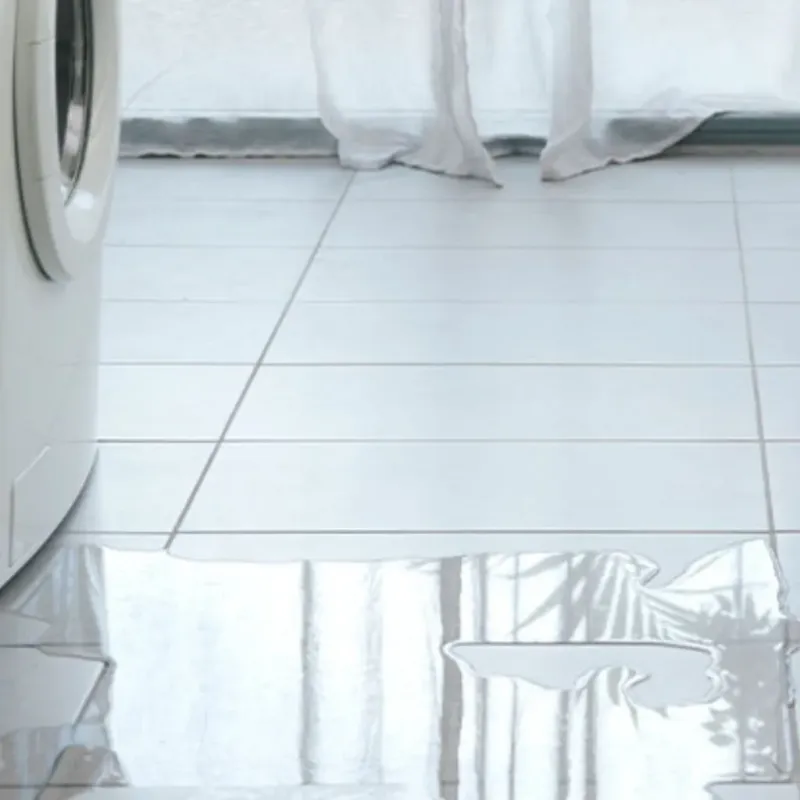 Appliance Leak Cleanup in Holly Springs, NC