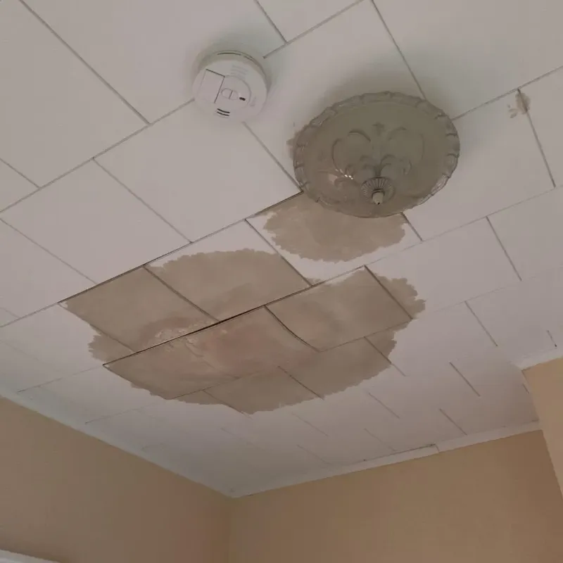 Ceiling Water Damage Repair in Holly Springs, NC