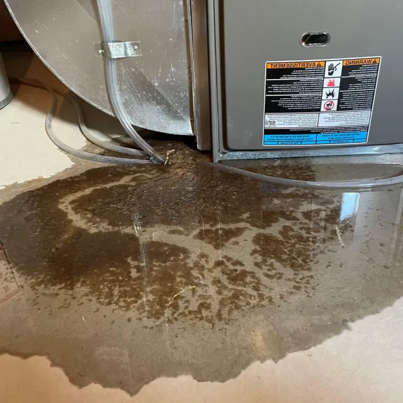 Pipe Burst and Leak Restoration in Holly Springs, NC