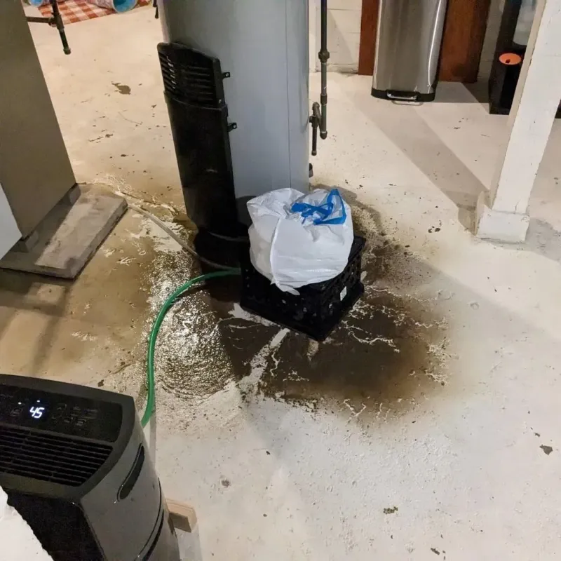 Sewage Backup Cleanup Service in Holly Springs, NC